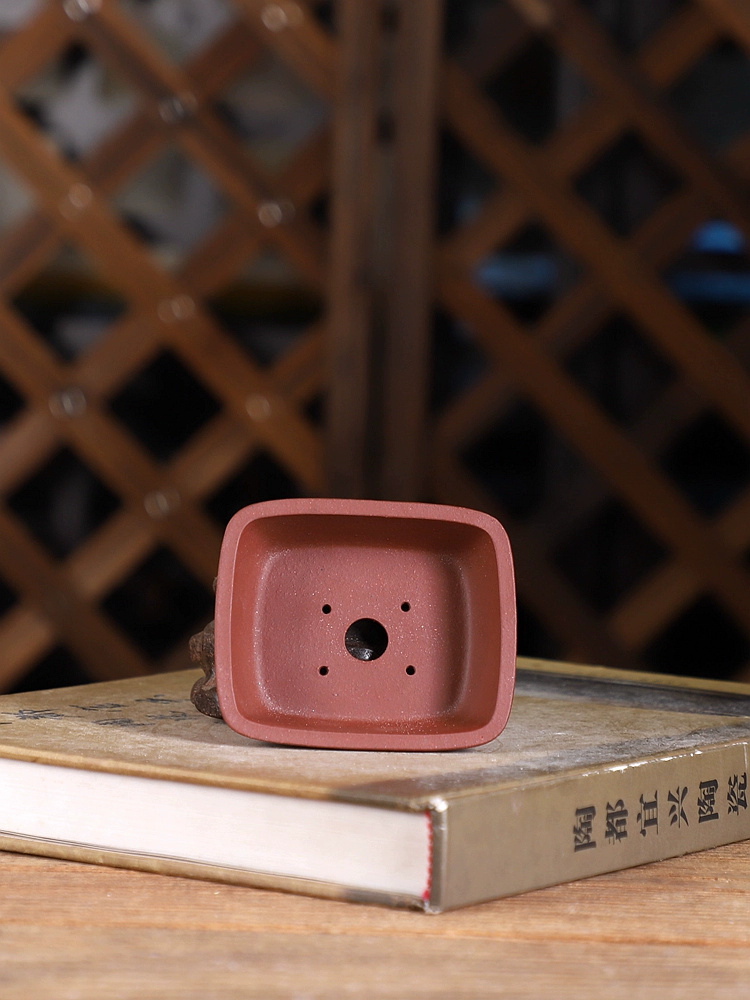 ทรายสีม่วงรอบมุมสี่เหลี่ยมผืนผ - Bonsai Garden Chinese Garden บทวิจารณ์และราคา