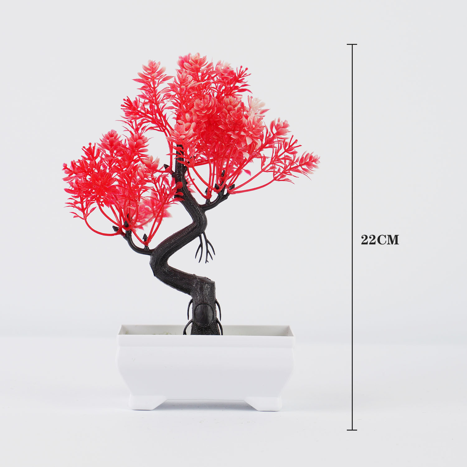 กระถางต้นไม้ขนาดเล็กบอนไซแบบพื - Bonsai Garden Sushi บทวิจารณ์และราคา