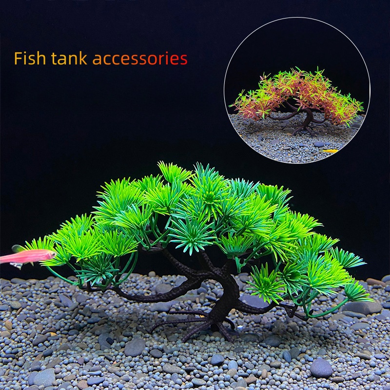 ต้นบอนไซตู้ปลา, พืช, ตกแต่งตู้ - Bonsai Garden Sushi บทวิจารณ์และราคา