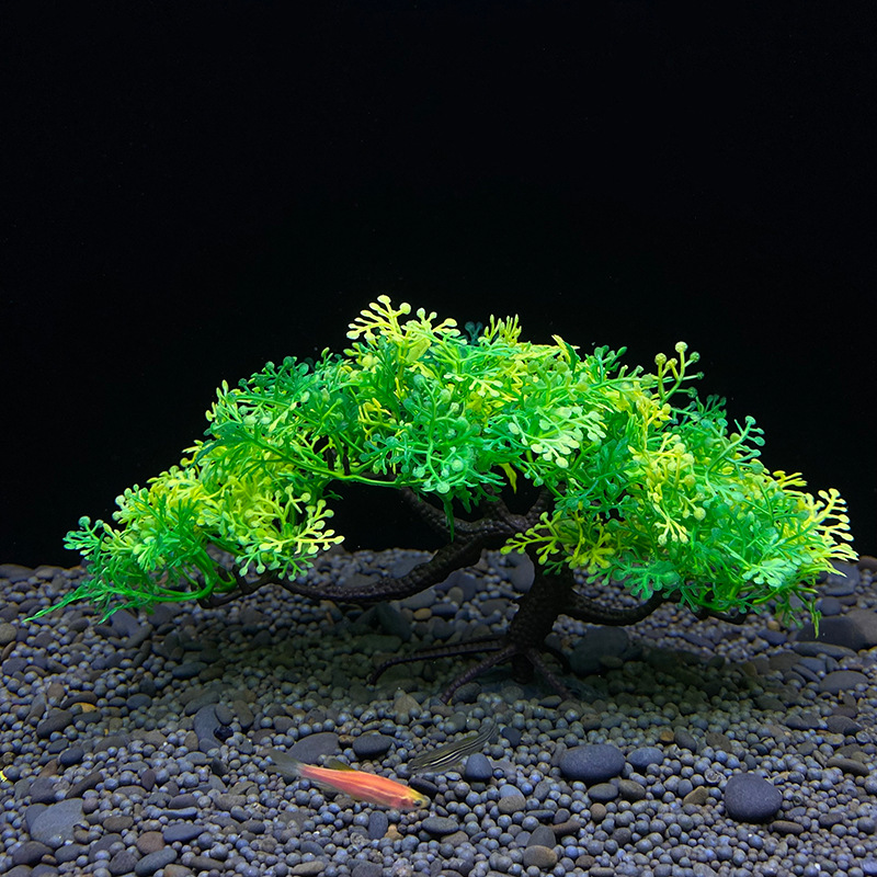 ต้นบอนไซตู้ปลา, พืช, ตกแต่งตู้ - Bonsai Garden Sushi บทวิจารณ์และราคา