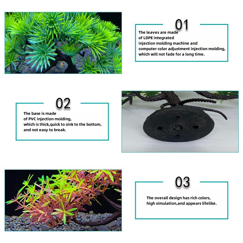 ต้นบอนไซตู้ปลา, พืช, ตกแต่งตู้ - Bonsai Garden Sushi บทวิจารณ์และราคา