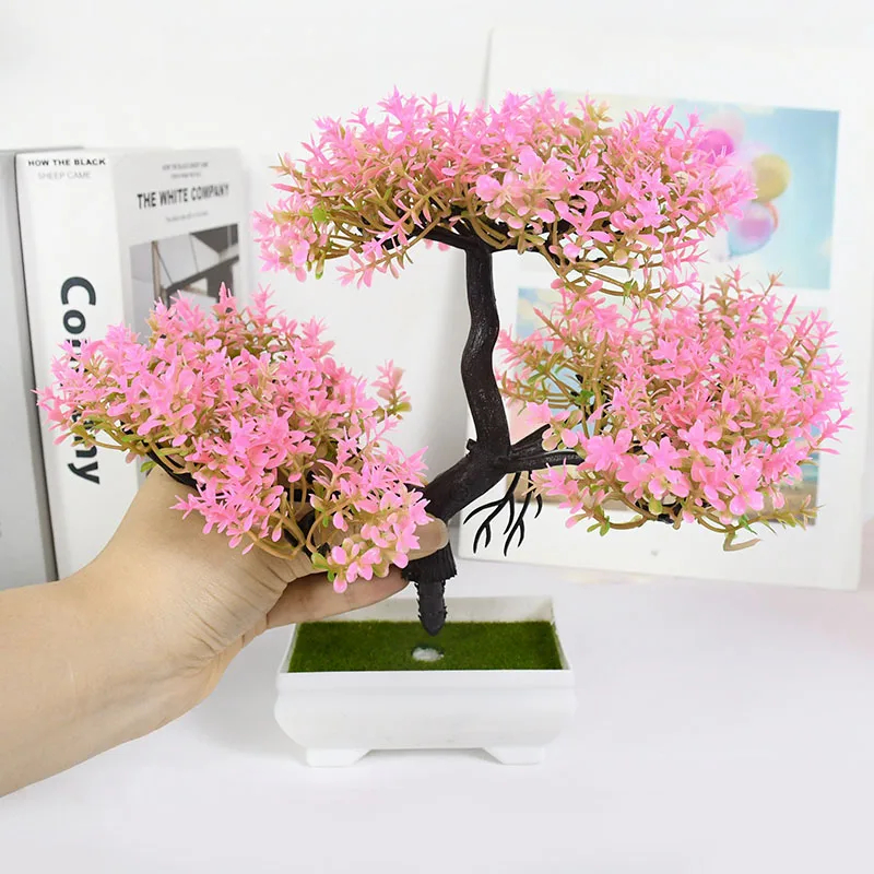 กระถางปลูกต้นไม้ขนาดเล็กบอนไซส - Bonsai Garden Sushi บทวิจารณ์และราคา