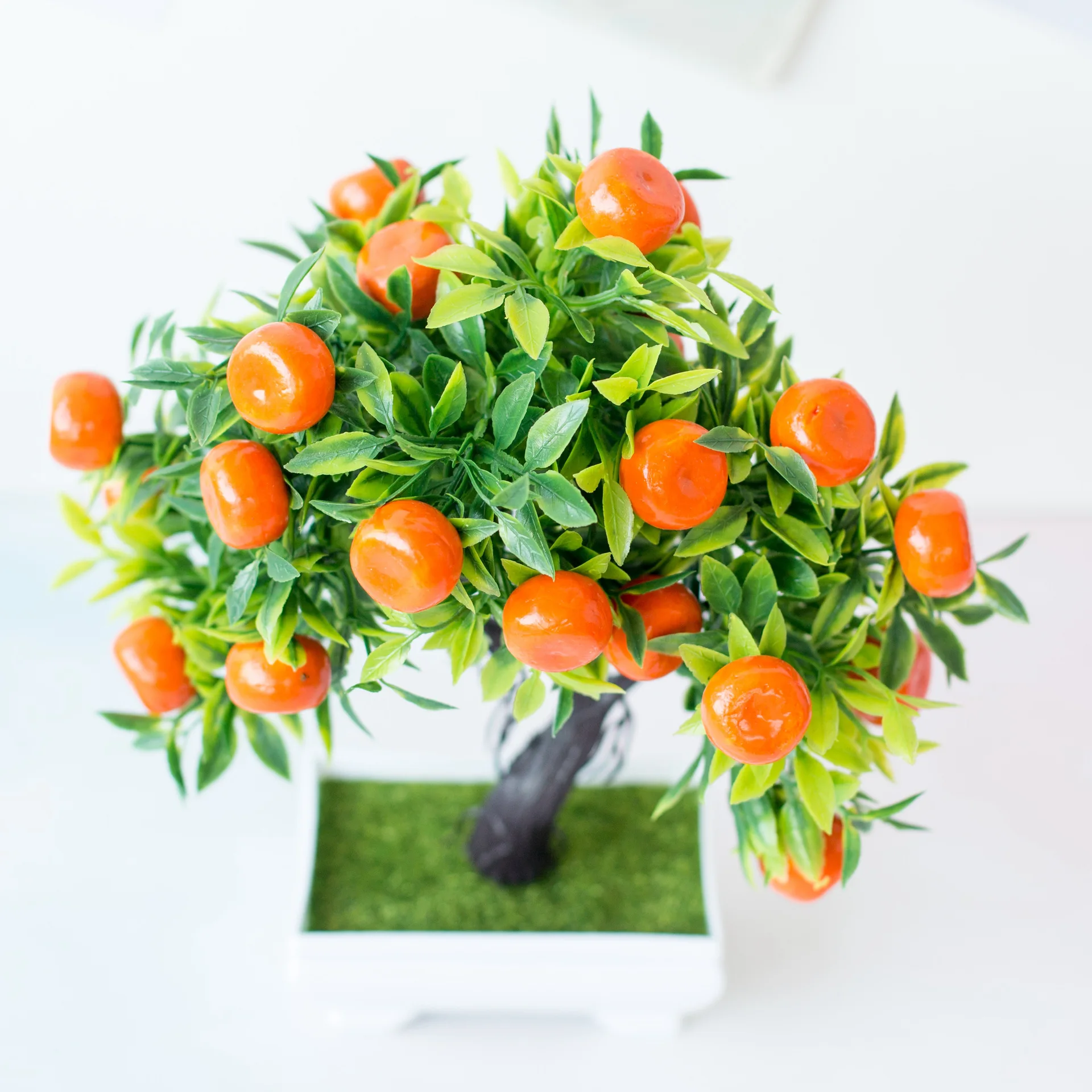 ประดิษฐ์ผลไม้ตกแต่งบ้านพืชบอนไ - Bonsai Garden Sushi บทวิจารณ์และราคา